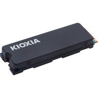 Kioxia Exceria med kølelegeme 1 TB, Solid state-drev 