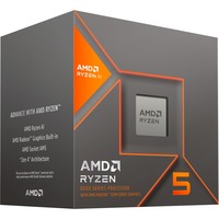 AMD Processor boxed