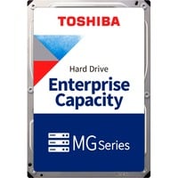 Toshiba MG10 22 TB, Harddisk 