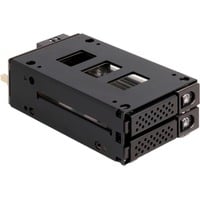 DeLOCK Slim Bay udskiftningsramme til 2 x 2,5″ U.2 NVMe SSD, Drev kabinet 