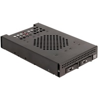 DeLOCK 3,5″ udskiftningsramme til 2 x M.2 NVMe SSD, Indramning 