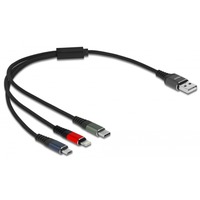 DeLOCK 87236 USB-kabel 0,3 m USB 2.0 USB A Micro-USB B/Lightning/Apple 30-pin Sort, Blå, Grøn, Rød multi-coloured, 0,3 m, USB A, Micro-USB B/Lightning/Apple 30-pin, USB 2.0, Sort, Blå, Grøn, Rød