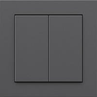 Senic Friends of Hue Smart Switch, Knappen antracit