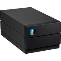 LaCie 2big RAID 40 TB, Harddisk Sort