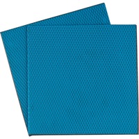 Thermal Grizzly Minus Pad Advance - 100x100x1,0 mm, Thermal pads 