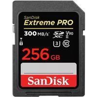 SanDisk SDSDXDK-256G-GN4IN, Hukommelseskort Sort