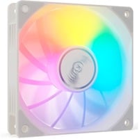 Valkyrie V12F ARGB 120, Sag fan Hvid