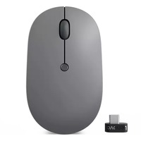 Lenovo Go USB-C Wireless Mouse mus Ambidextrous RF trådløst Optisk 2400 dpi grå, Ambidextrous, Optisk, RF trådløst, 2400 dpi, Grå