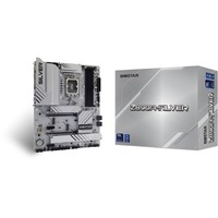 Biostar Z890A-Silver, Bundkort