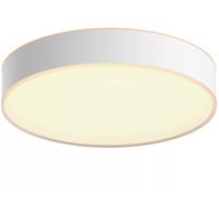 Philips Hue White Ambiance Enrave loftlampe M, LED lys Hvid