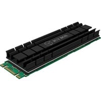 ICY BOX IB-M2HS-701 M.2 NVMe SSD Køleplade/køler Sort 1 stk Sort, Køleplade/køler, Sort