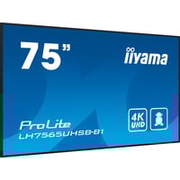 iiyama Offentlig visning Sort