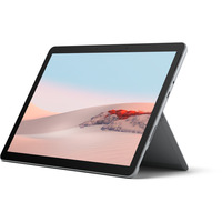Microsoft Tablet PC Platinum/grå