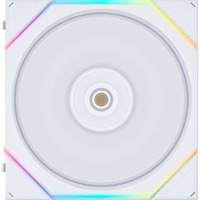 Lian Li 14TL1W, Sag fan Hvid