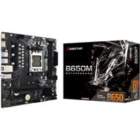 Biostar B650MT, Bundkort