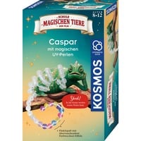 KOSMOS 658281, Eksperiment boks