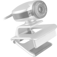 Logitech Webcam grafit